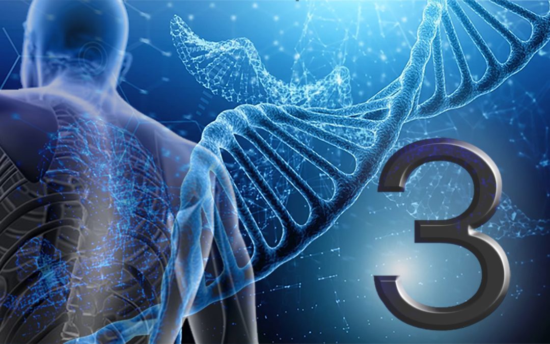 The Number 3 and the Human Body